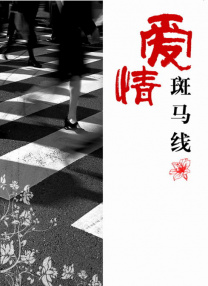 成人综合婷婷国产精品久久免费